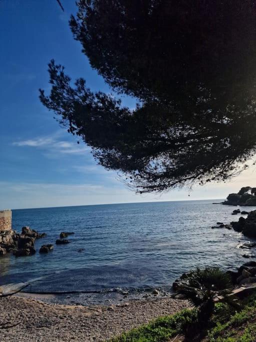 T2 Neuf, Parking Prive,Acces Mer Bandol Zewnętrze zdjęcie